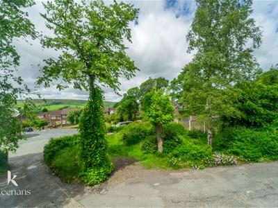 Picture 25